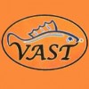 Vast