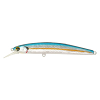 #105 American Shad