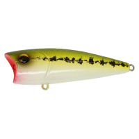 #119 Baby Bass