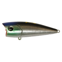#197 Blue Head Black back ghost