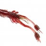 Силікон Reins RING SHRIMP 2"  — фото 8