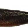 Силікон Jackall Dagger Minnow 3.5" — фото 4