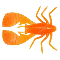 ORANGE BACK CHART