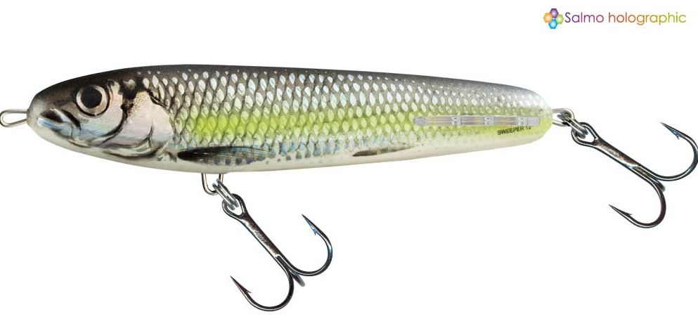 Воблер Salmo Sweeper 100мм/19г