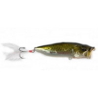 GG Bass