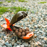 Ракета Prologic Airbomb L — фото 2