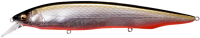 M KATAKUCHI RB