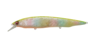 SHELL SKIN CHART BACK RAINBOW