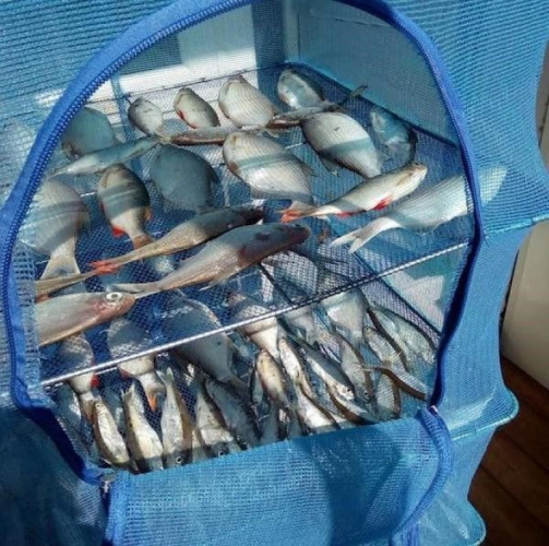 Сушилка Easyall-11 (45x45x100см) (Арт. RA 8811)