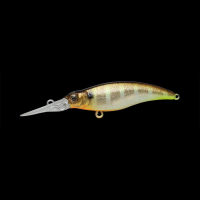 GLX SUNSHINE GILL