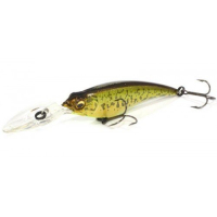 PM Sunshine Bass CB