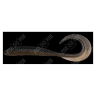 Силикон Megabass Kemuri Curly 3.5" — фото 9