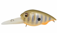 (SP-C) Champagne Bream