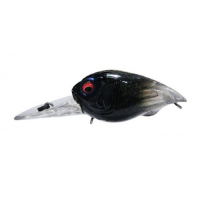 (SP-C) Night Mare Black