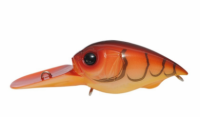 (SP-C) Zarigani