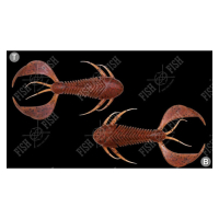 EBIMISO RED FLAKE