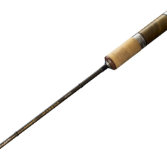 Спінінг Favorite Arena ARN