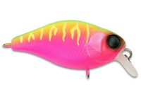 Fruit Mat Tiger