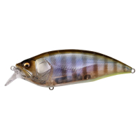 GILLKKO