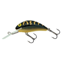 BT