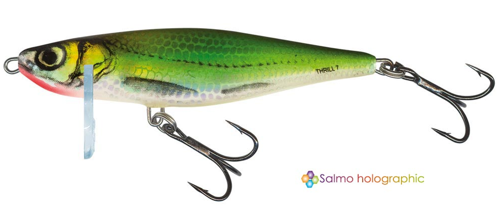 Воблер Salmo Thrill 90мм /25г