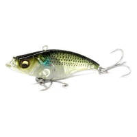 55 GP HAKU BORA