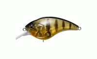 GP Pro Perch