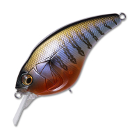 Secret Gill