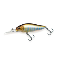 LIGHTNING SHAD
