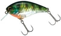 Blue Gill