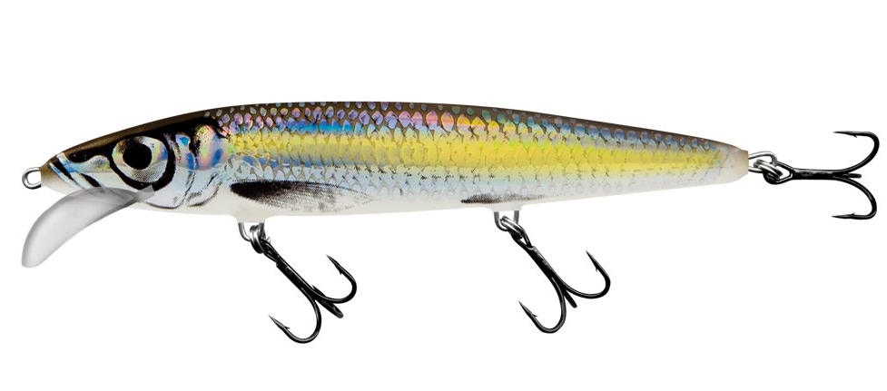 Воблер Salmo Whacky 120мм/14г