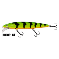 GT