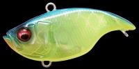 GG CHART BACK GILL