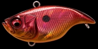 GG RED SHINER