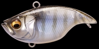 GILLKKO DNA