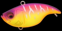 PASSION PINK TIGER