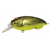 GG Bass CB