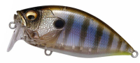 #GILLKKO