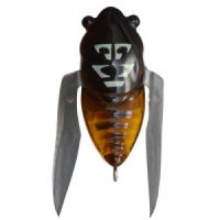 Abura Zemi