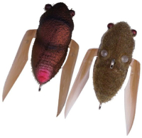 FF Mat Brown Bug