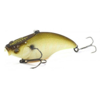 GLX Sunshine Gill