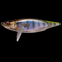 GILLKKO CT