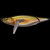 PM RAINBOW