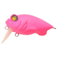 Indicator Pink