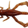 Силікон Jackall Dragon Bug 3" — фото 6