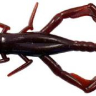 Силікон Jackall Dragon Bug 3" — фото 7