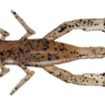Силікон Jackall Dragon Bug 3" — фото 8