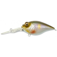 PM Setsuki