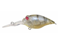 Redeye Glass Shrimp