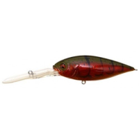 GP Komorin Craw